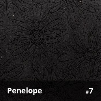 Penelope 7